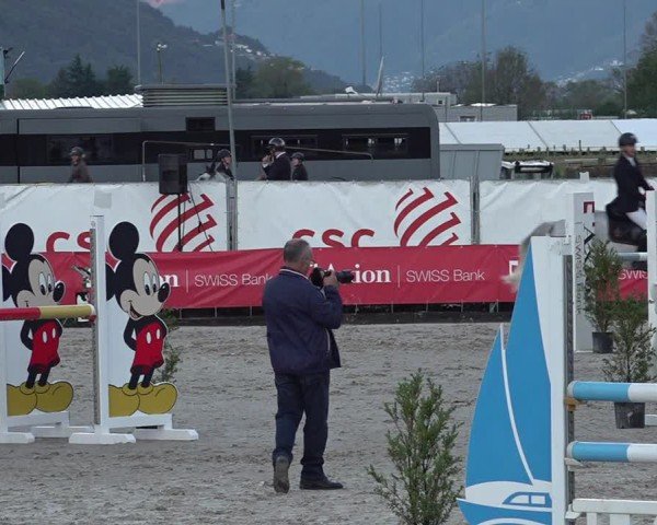Reitturnier Giubiasco 2024
