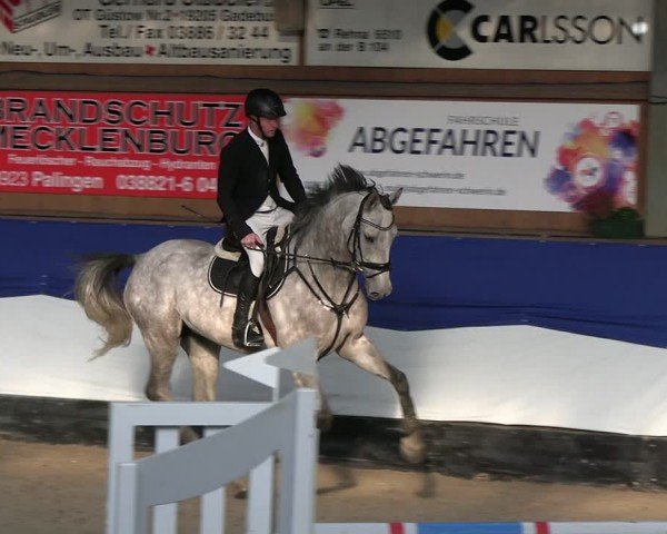 Reitturnier Gadebusch 2024