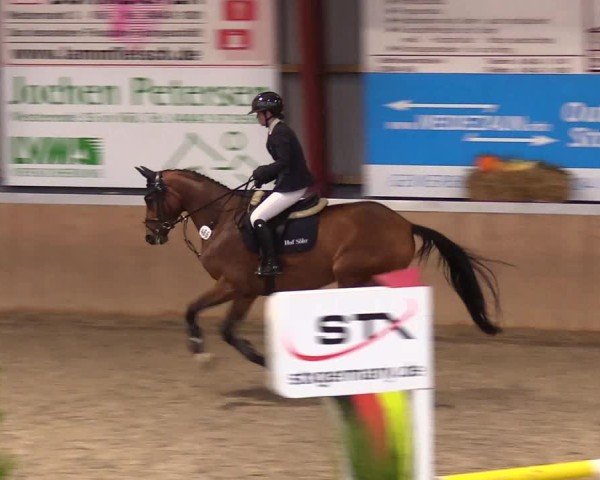 Reitturnier Behrendorf 2024