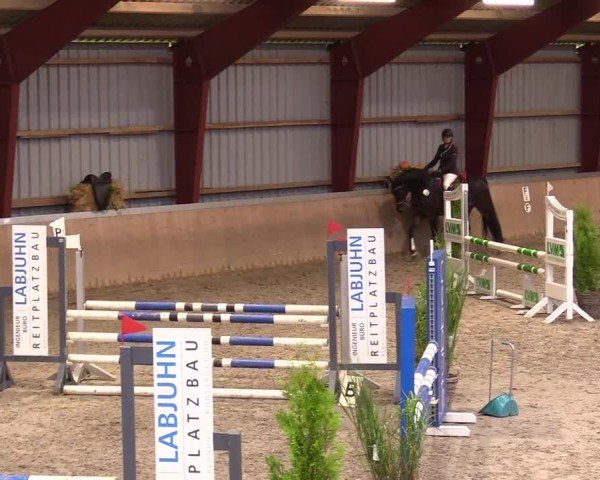 Reitturnier Behrendorf 2024