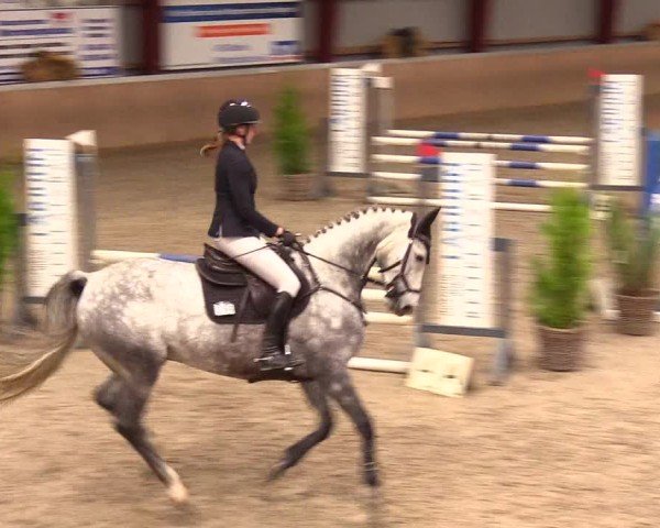 Reitturnier Behrendorf 2024
