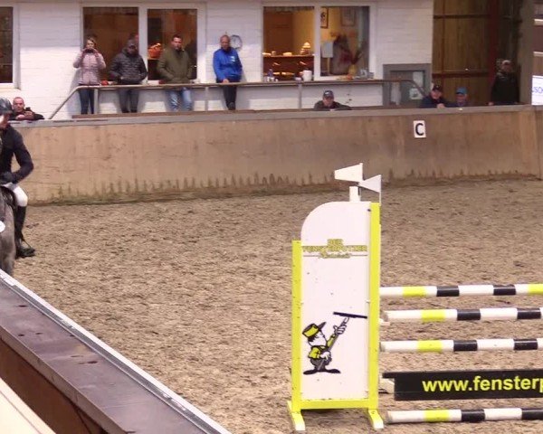 Reitturnier Behrendorf 2024