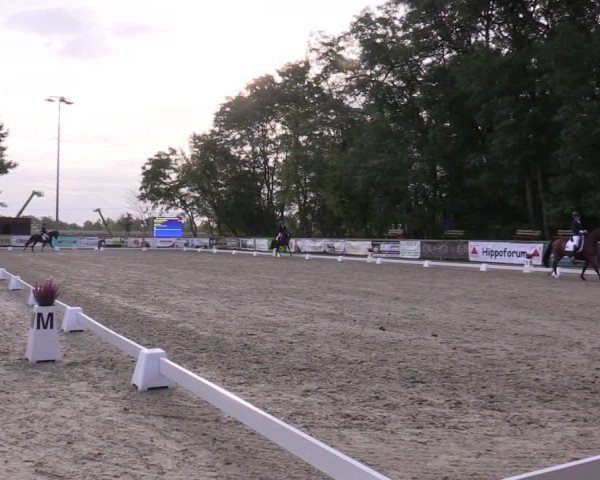 Reitturnier Ruhlsdorf 2024