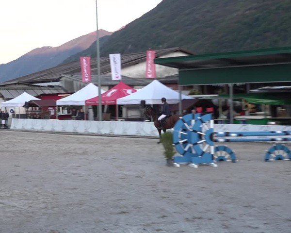 Reitturnier Giubiasco 2024