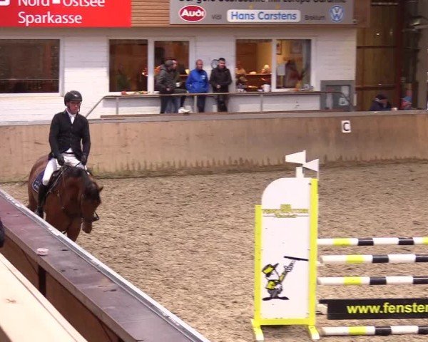 Reitturnier Behrendorf 2024