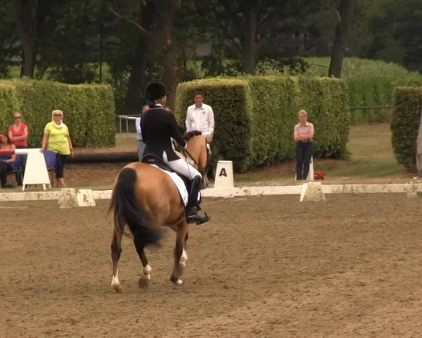 Westfalen-Woche 2013