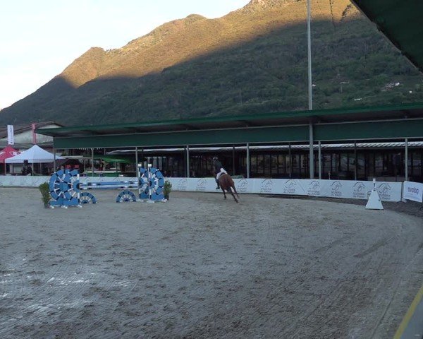 Reitturnier Giubiasco 2024