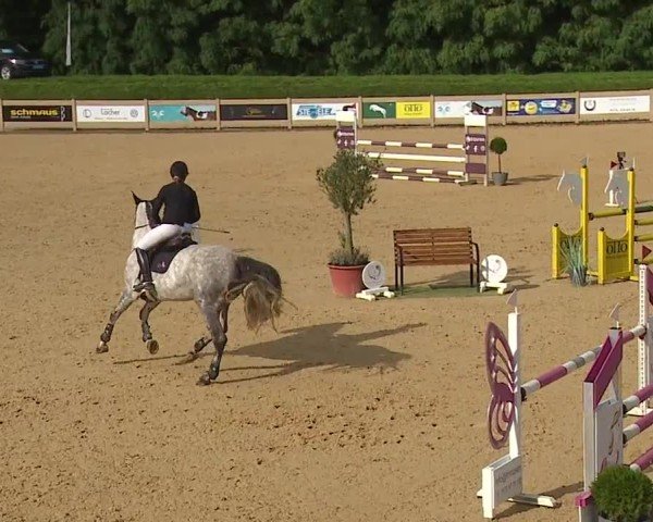 Reitturnier Tiefenhof/Opf. 2024