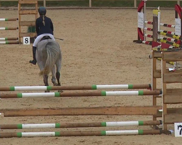 Reitturnier Tiefenhof/Opf. 2024