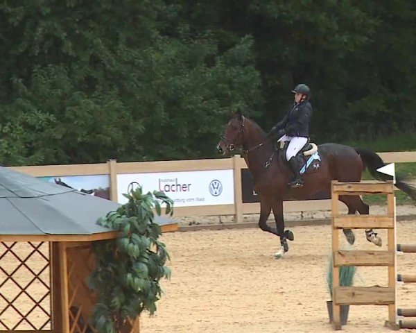 Reitturnier Tiefenhof/Opf. 2024