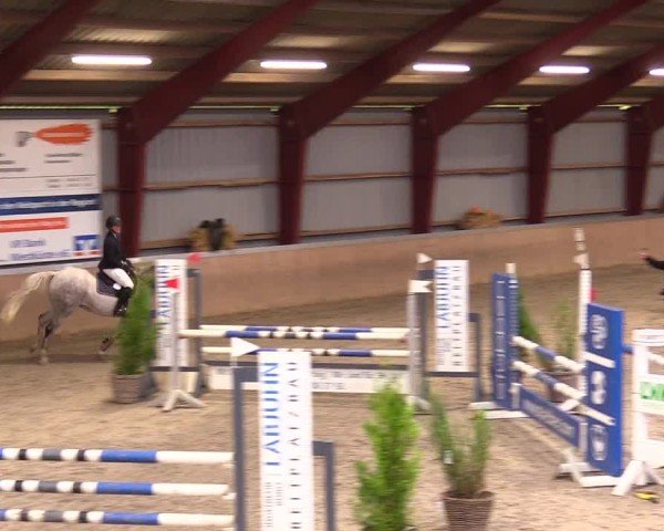 Reitturnier Behrendorf 2024