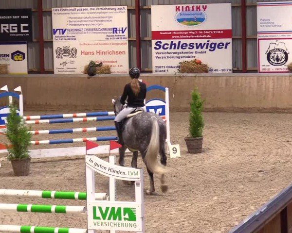 Reitturnier Behrendorf 2024