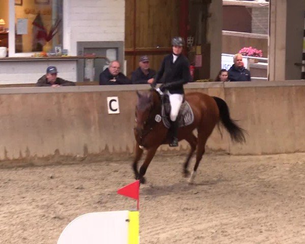 Reitturnier Behrendorf 2024