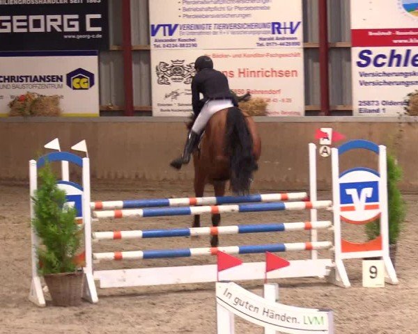 Reitturnier Behrendorf 2024