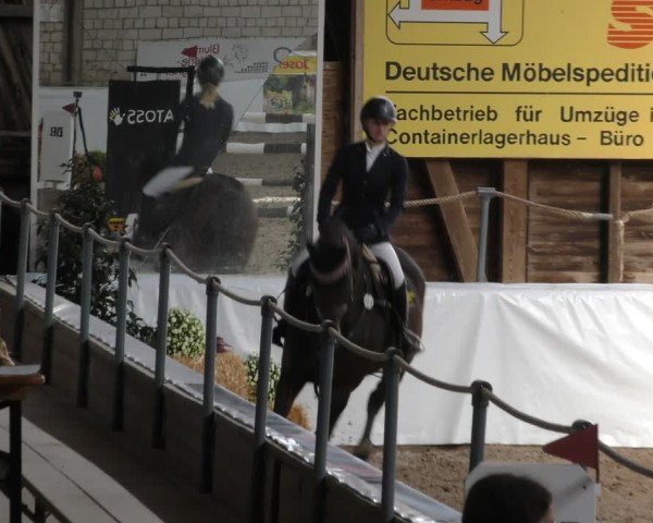 Reitturnier Böblingen 2024