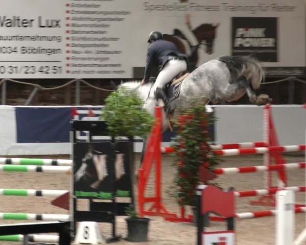 Reitturnier Böblingen 2024