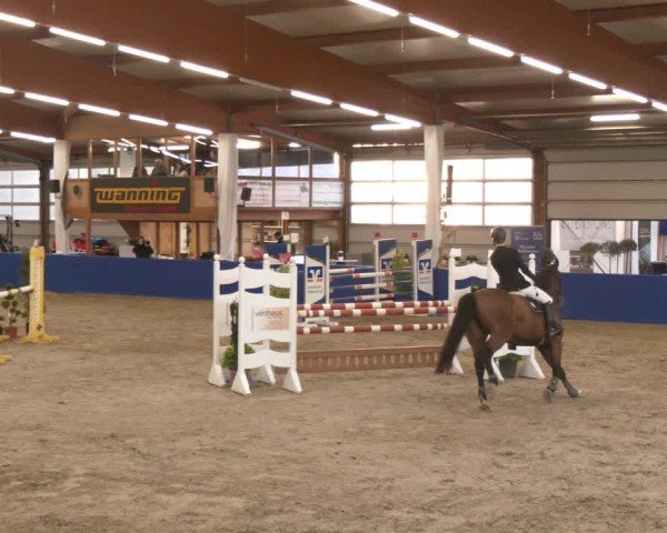 Reitturnier Isterberg 2024