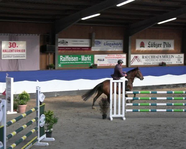 Reitturnier Gadebusch 2024