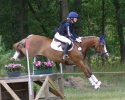 dressage horse Charlotte G. (German Riding Pony, 2015, from Nacromancer inthe dark)
