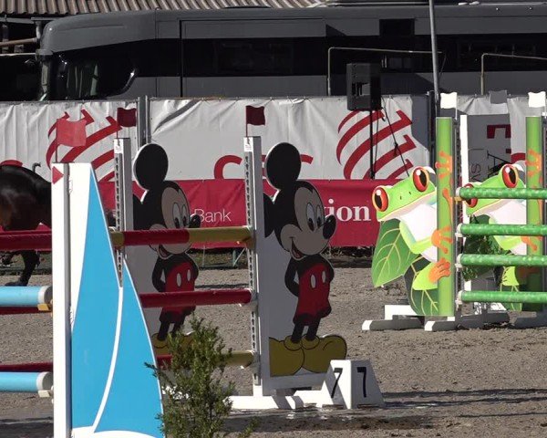Reitturnier Giubiasco 2024