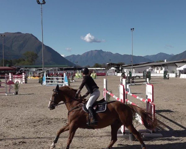 Reitturnier Giubiasco 2024