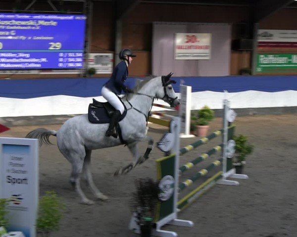Reitturnier Gadebusch 2024