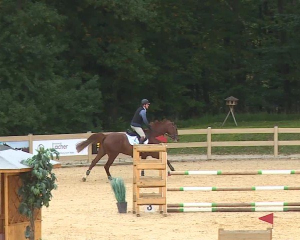 Reitturnier Tiefenhof/Opf. 2024