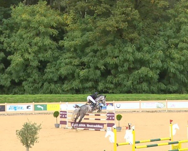 Reitturnier Tiefenhof/Opf. 2024