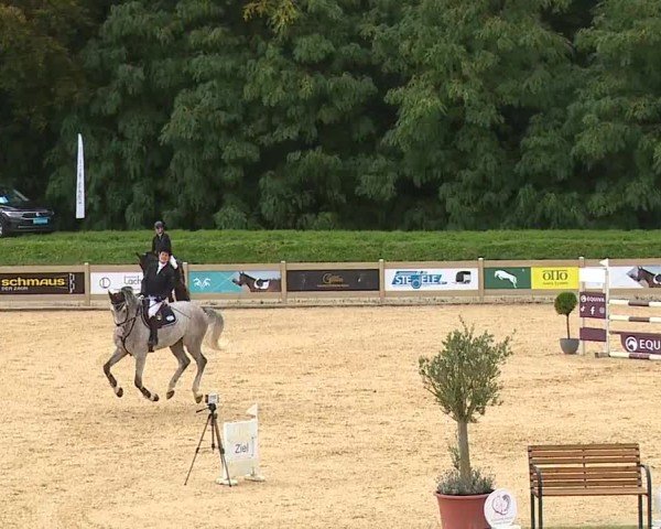 Reitturnier Tiefenhof/Opf. 2024