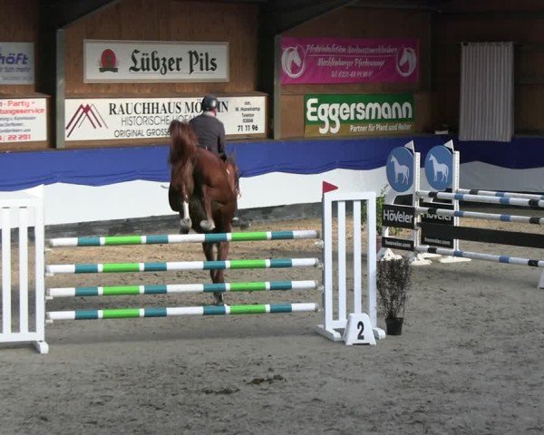 Reitturnier Gadebusch 2024