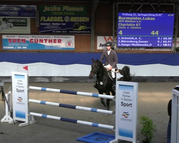 Reitturnier Gadebusch 2024