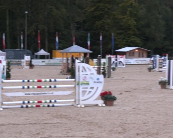 Reitturnier Ranshofen - Braunau am Inn 2024
