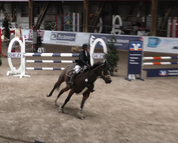 Reitturnier Böblingen 2024