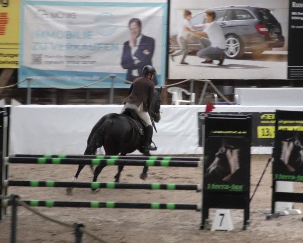 Reitturnier Böblingen 2024