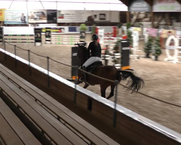 Reitturnier Böblingen 2024