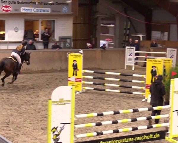 Reitturnier Behrendorf 2024