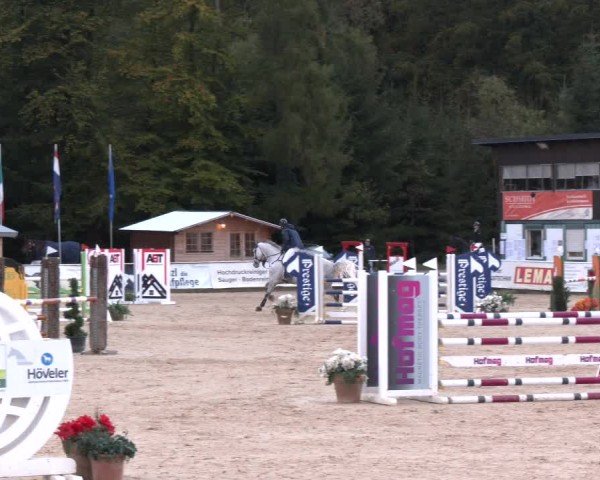 Reitturnier Ranshofen - Braunau am Inn 2024