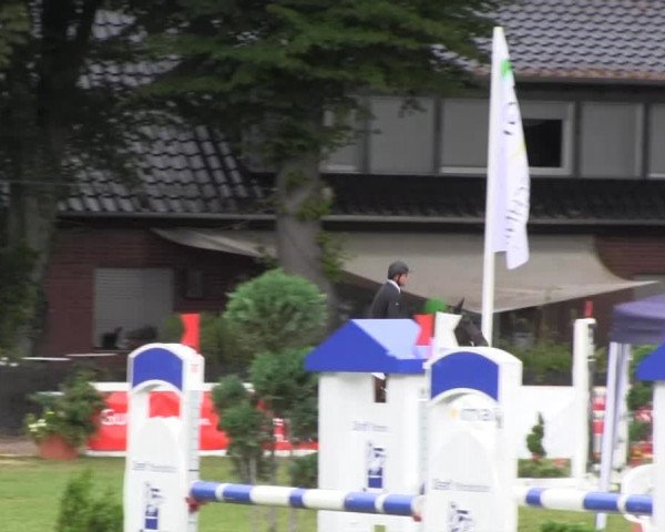 Reitturnier Münster-Handorf 2013