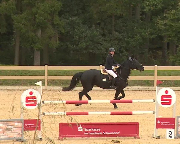 Reitturnier Tiefenhof/Opf. 2024