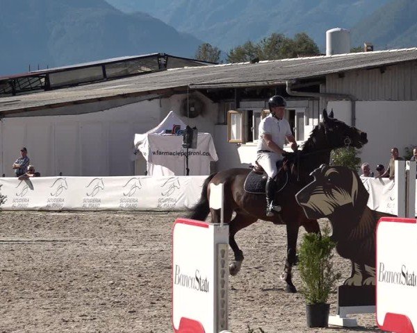 Reitturnier Giubiasco 2024
