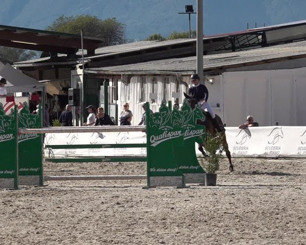 Reitturnier Giubiasco 2024
