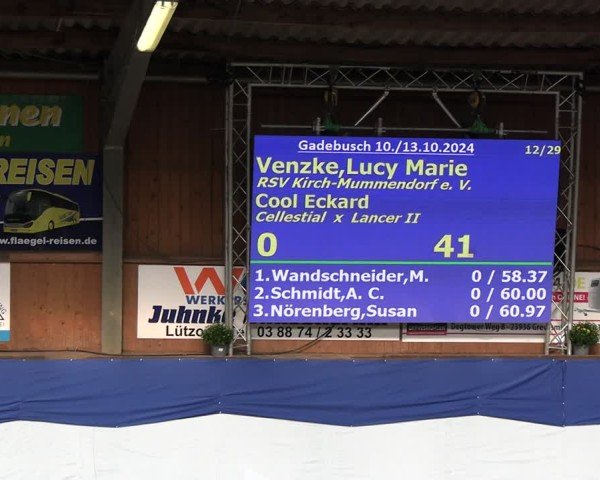 Reitturnier Gadebusch 2024