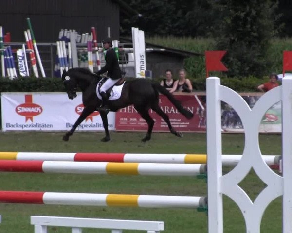 Reitturnier Münster-Handorf 2013