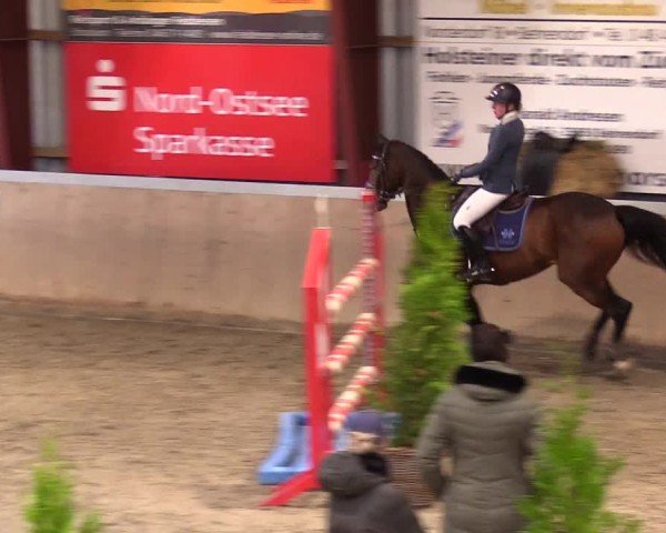 Reitturnier Behrendorf 2024