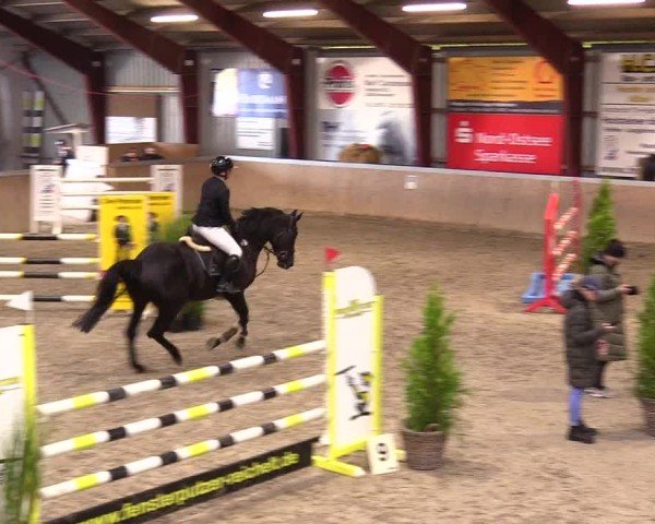 Reitturnier Behrendorf 2024