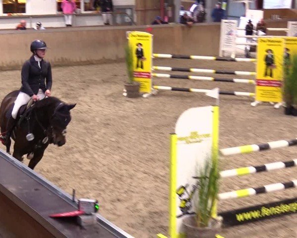 Reitturnier Behrendorf 2024