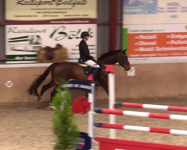 Reitturnier Behrendorf 2024