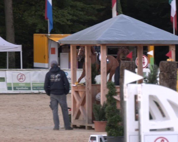 Reitturnier Ranshofen - Braunau am Inn 2024