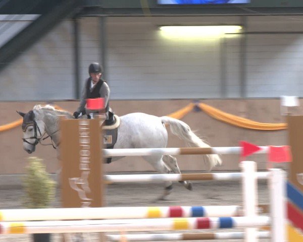 Reitturnier Salzkotten 2024