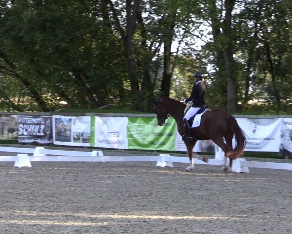 Reitturnier Ruhlsdorf 2024